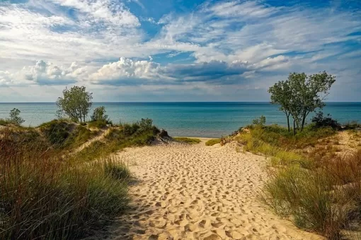 Vacances été 2025, Neuville-sur-Saône, CI Ostéopathie